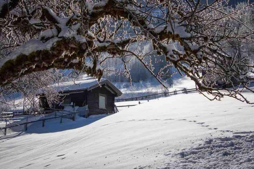 Villa Kleine Alpenhuette In Lend 2024 Neben Der Salzach Exterior foto
